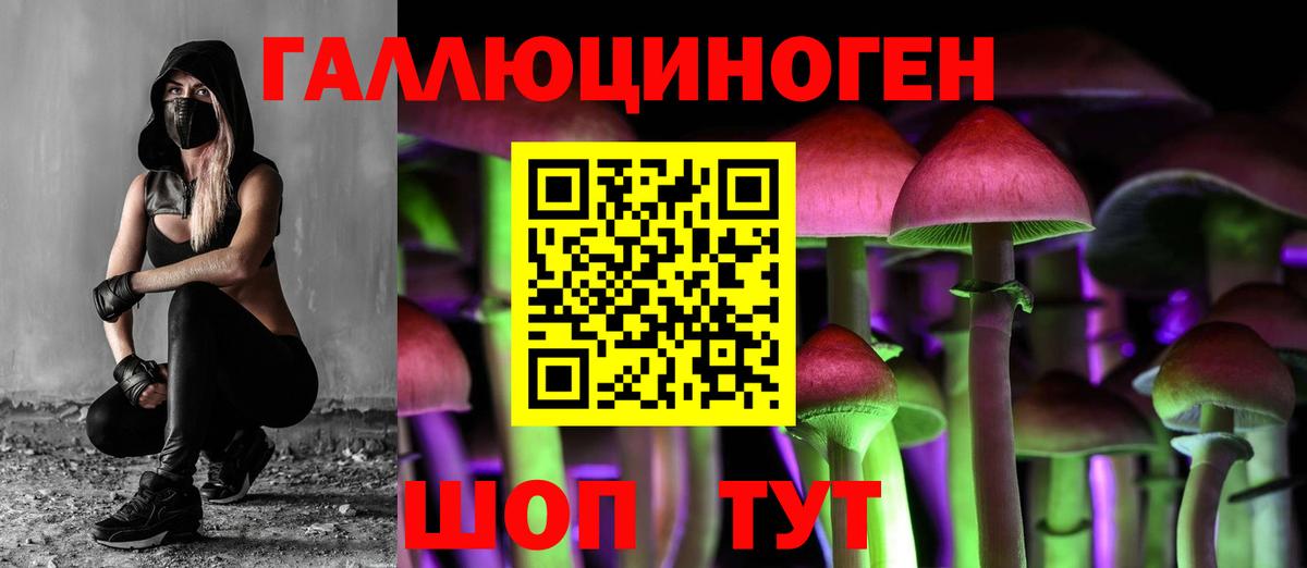 Псилоцибиновые грибы Cubensis Ачхой-Мартан
